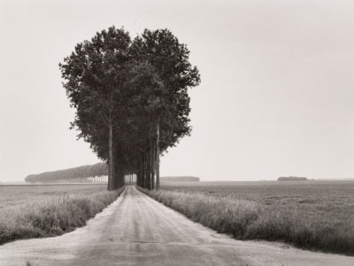 Cartier-Bresson-Trees-lining-a-road-Brie-France-1968