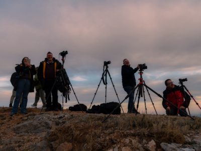 Loarre-5416 en tamaño grande