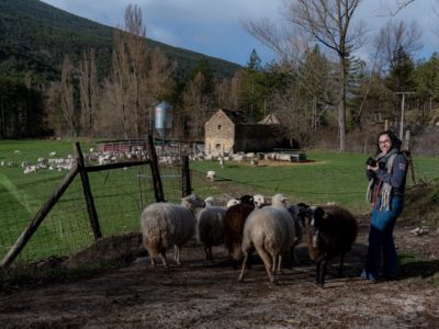 Loarre-5499 en tamaño grande