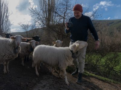 Loarre-5503 en tamaño grande